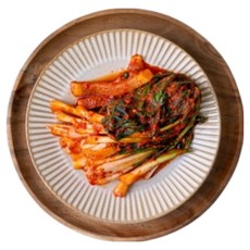 전재료 100% 국산 당일제조 전라도식 파김치 1kg 여수 파김치, 1개