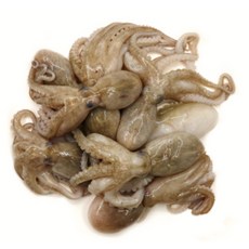 냉동 미니 통쭈꾸미 볶음용, 1개, 베트남 2.16kg 대(180g당 6미)