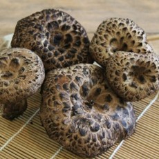 태창 자연산냉동능이버섯B급가정용[원산지:중국티벳산], 1박스, 1kg