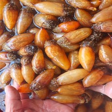 [26년 오픈특가] 통영 제철 손질 미더덕 미더덕 회, 1개, 손질 미더덕 원물 500g