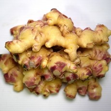 국산 생강 깐생강 국내산 햇생강 세척 흙생강 1kg, 1개, 세척 생강[특품] = 1kg