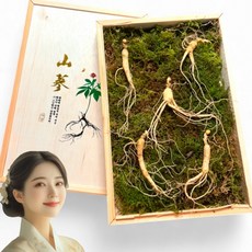 만항재산삼 6년 8년 못난이 산양삼 산삼 산양산삼 장뇌삼, 20개, 3.5g