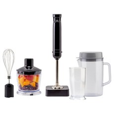 도깨비방망이 퀵앤고 파워 무선 핸드블렌더 CHB2400 풀구성, 블랙 베리