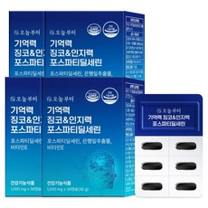 오늘부터 기억력 징코 인지력 포스파티딜세린, 30정, 4개