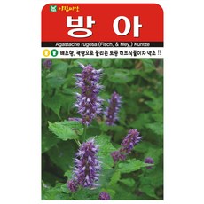 아람종묘 방아 씨앗 1000립, 1개