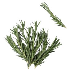 데코용로즈마리 생잎 허브 가니쉬 로즈마리, 50g, 1개