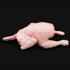 백숙용 토종닭 생닭 닭백숙 몸보신 영양식 닭도리탕 삼계탕 장닭, 1.8kg, 1개