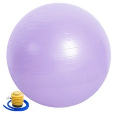 썸피트 안티버스트 짐볼 + 발 펌프, 라일락퍼플 65cm