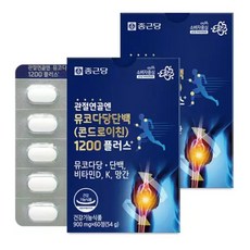 종근당 관절연골엔 뮤코다당단백 콘드로이친 1200 플러스 60정 2박스 2개월분, 종근당 관절연골엔 뮤코다당단백 콘드로이친 1200 플러