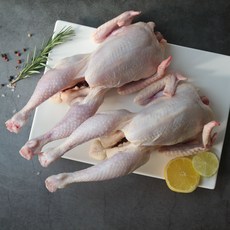 [치킨테이블]국내산 삼계닭55호 550g x2마리 냉장, 2개