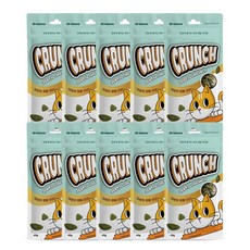 닥터뮨 크런치 덴탈 고양이 구강관리 간식, 40g, 11개