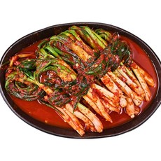 정성곳간 강순의 명인 파김치 (제조사 : 금화영농), 1개, 1kg