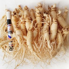 [GAP 인증 인삼] 농부가 직접 드리는 6년근-5년근 못난이 인삼(난발삼) 무료세척 예쁜 정품수삼 파삼 홍삼액달임오쿠 인삼튀김 삼계탕 인삼라떼(믹서) 인삼주, 720g, 1개, 세척함, 2.콩난발(720g, 30뿌리내외)