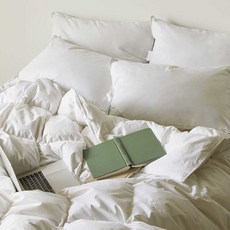 바운티풀 특급호텔 구스 스몰페더 100% 호텔베개 구스베개 1000g 1200g, 화이트, 1개