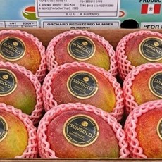 [한정특가] 페루산 프리미엄 애플망고 4kg 8과 고당도 항공직송, 1세트, 페루 애플망고 4kg 7~8과