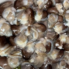 국내산 당일조업 자연산 손질 새조개 제철 해산물, 1개, 200g