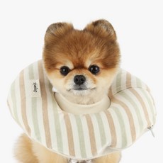 ITS DOG 狗狗居家護理頸圈 橄欖綠 XL, 200g, 1個