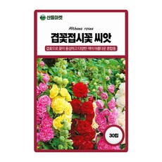세계종묘 겹꽃접시꽃 씨앗 30립 혼합종 촉규화 접시꽃씨 종자, 1개