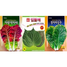 쌈채소씨앗 3종 1세트 청상추 + 적상추 + 깻잎 씨앗, 3개