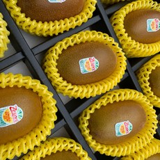 영이네 농수산 제스프리 골드키위 선물세트, 1세트, 1.8kg