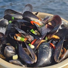 거제청정 홍합 4kg 당일채취 당일발송, 1개