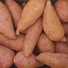 해남 달망 호박고구마, 1박스, 2kg 특상