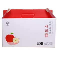 슬로푸드 자연 그대로 사과즙 NFC100%, 1개, 2L