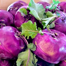 <품담> 품질보장/제주산 특품 콜라비 맛보장 건강한 간식 콜리브리 품종, 1박스, 5kg