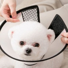 위드앤미 강아지 고양이 넥카라 중성화 보호 깔대기, 1개, 반투명 블랙