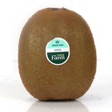 유로 그린키위 대과, 1개, 3kg 내외(21-30과)