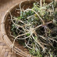 [국내산] 노지 냉이 1차 농가 세척, 1개, 200g