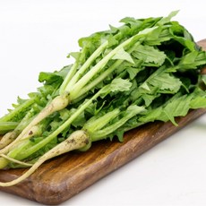 생 열무 1kg 2kg 4kg 열무김치 무침용[원산지 국산], 1개, 4kg(1박스)