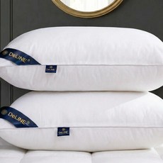 [커버포함] DeLINE 5성급 호텔 베개 숙면 피톤치드 항균 20만판매기념, 2개, 화이트