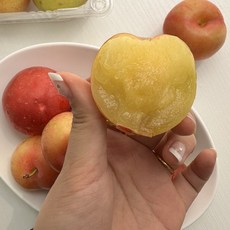 [당도선별} 13brix이상 고당도 추희자두, 1박스, 중소과 1kg