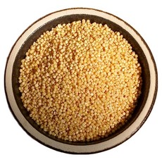 중국산 메조 500g 메좁쌀 찰기없는 좁쌀 모조 새모이 새밥 24년산, 1개