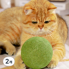 고양이 캣닢볼 캣닢 장난감 마따따비 대왕 볼 왕빵 캣닢공, 2개, 왕빵 마따따비볼