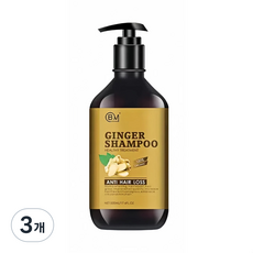 생강 식물성 탈모샴푸 두피케어 비듬완화 천연 영양 기능성 샴푸, 3개, 500ml