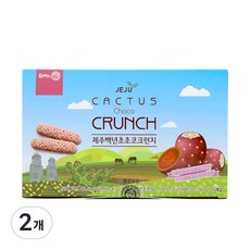 제주 백년초 초코 크런치 사무실간식 특산물 여행선물, 2개, 71.5g