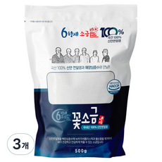 햅썹(HACCP)인증 미세플라스틱 제거한 해양심층수 꽃소금 아기소금 국산 100% 가는 소금, 500g, 3개