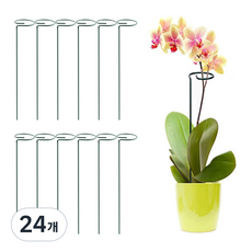 2025 NEW 고리형 식물 화분 화초 난초 지지대 48cm, 24개