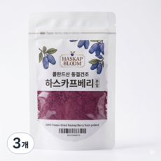 유기농 동결건조 하스카프베리분말 폴란드산 c3g, 30g, 3개
