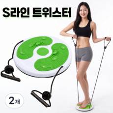 KM SPORTS S라인 트위스트 허리회전 운동기구, 그린, 2개