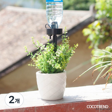 페트병 자동 급수기 반려식물 키우기 화분 급수캡 식물 가드닝 살리기 물주기 급수봉, 2개, 1type
