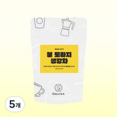 뉴올티 환절기 티백 꿀도라지 생강차, 5개, 20개입, 1.5g