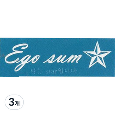 재사용 가능한 지워지는 셀프 헤나타투 도안 S-11~20, 3개, S-14