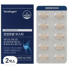 테라퓨젠 조인트본 부스터, 2박스, 60정