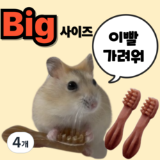 (BEST) 햄스터 이갈이 덴탈츄 칫솔 이갈이 간식 XS 핑크, 4개
