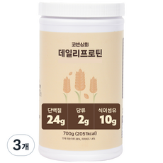 혈당케어 단백질 쉐이크 데일리 프로틴, 700g, 3개, 17곡 미숫가루