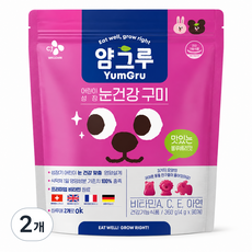 CJ 얌그루 어린이 눈건강 구미 비타민A 안심 설계 90구미 블루베리맛 키즈 영양제, 2개, 360g