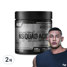 NS 쿼드엑시드 레몬맛 아르기닌 타우린 헬스보충제, 300g, 2개